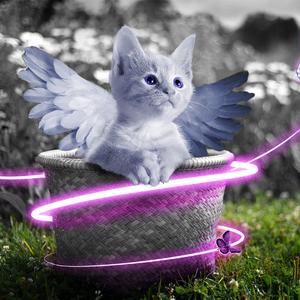 PLAYBOY走光福利视频
